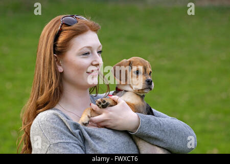 Porträt einer jungen Frau mit ihrem kleinen Hund Stockfoto