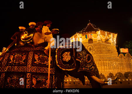 Elefant Prozession geht durch den Tempel der Zahn während Kandy Esala Perahera, Kandy, Sri Lanka Stockfoto