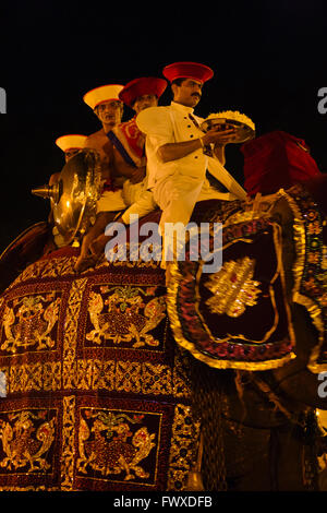 Elefant Prozession geht durch den Tempel der Zahn während Kandy Esala Perahera, Kandy, Sri Lanka Stockfoto