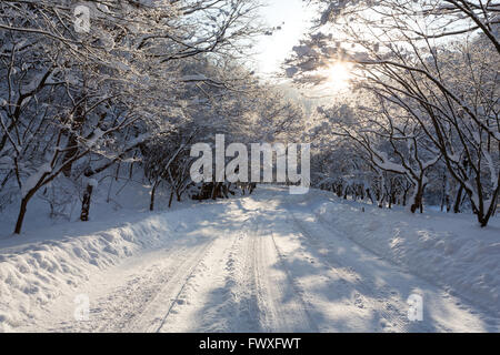 Naejangsan Berg im Winter mit Schnee, verschneite Winterlandschaft. Stockfoto