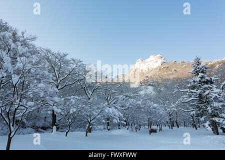 Naejangsan Berg im Winter mit Schnee, verschneite Winterlandschaft. Stockfoto