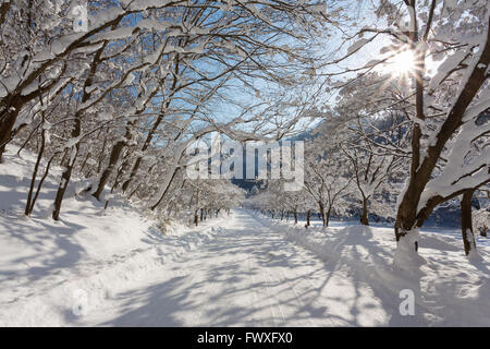 Naejangsan Berg im Winter mit Schnee, verschneite Winterlandschaft. Stockfoto