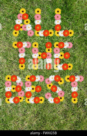 Das beste viel Glück wünscht mit Blumen Blume Natur Wiese Rasen Stockfoto