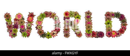 Welt-Großbuchstaben aus Bromelie Blume Alphabet isoliert auf weißem Hintergrund Stockfoto