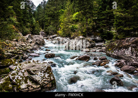 Sarca-Flusses in Val di Genova, Trentino-Südtirol-Italien. Adamello-Brenta Park. Stockfoto