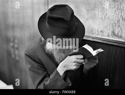 Alten chassidischen Juden liest seine Bibel im Chabad-Lubawitsch World Headquarters in Crown Heights, Brooklyn, NY. Stockfoto