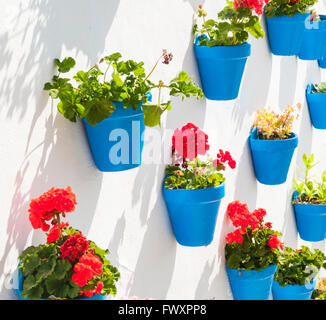 Geranien in blauen Töpfen in Andalusien, Spanien Stockfoto