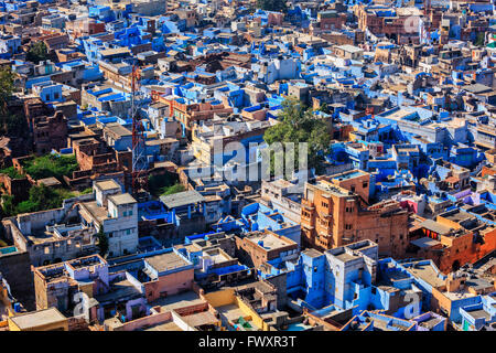 Jodhpur die blaue Stadt, Rajasthan, Indien Stockfoto