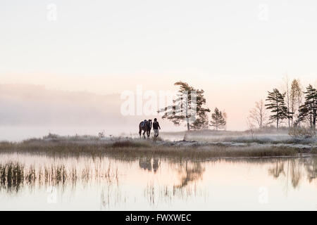 Schweden, Vastmanland, Bergslagen, Hällefors, Grythyttan, Bovik, junge Frau mit Pferd Seeufer entlang wandern Stockfoto