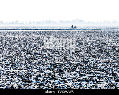 Silhouette von zwei Radfahrer in Winterlandschaft Polder in der Nähe von Zevenhuizen, in der Provinz Süd-Holland, Niederlande Stockfoto