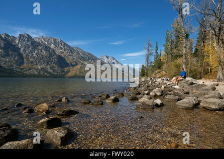 WY01471-00... WYOMING - Felsen entlang der Küste von Jenny Lake im Grand Teton National Park. Stockfoto