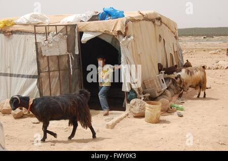 Syrischer Flüchtling junge in informellen Camp, Mafraq, Jordanien Stockfoto