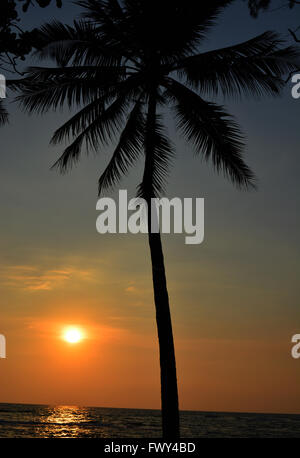 Die herrlichen Sonnenuntergang über der Südküste von Sri Lanka Stockfoto