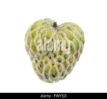 Zucker Apfel (Custard Apple, Annona, Flaschenbaum) auf weißem Hintergrund Stockfoto