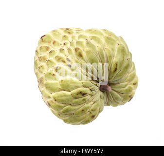 Zucker Apfel (Custard Apple, Annona, Flaschenbaum) auf weißem Hintergrund Stockfoto