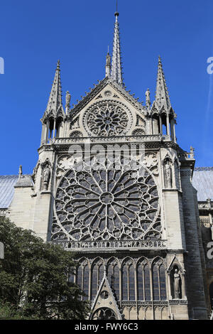 Frankreich. Paris. Kathedrale Notre-Dame. Frühgotik. 13. Jahrhundert. Südliche Rosette Stockfoto