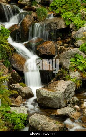 kleiner Bach mit Kaskaden in Bergen zwischen Steinen Stockfoto