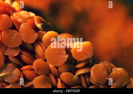 Orange Linsen im Gegenlicht, Muster-Hintergrund Stockfoto