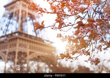 Frühling in Paris Stockfoto