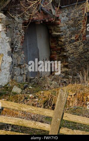 Verlassene unkultivierten Hütte hinter Baum und Zaun Stockfoto