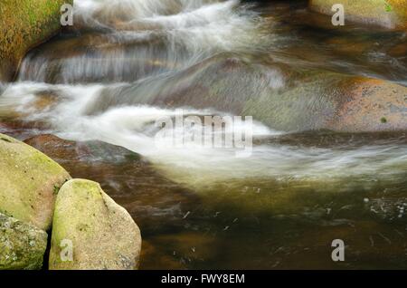 Detail des kleinen schönen Wasserfall zwischen bemoosten Steinen. Stockfoto