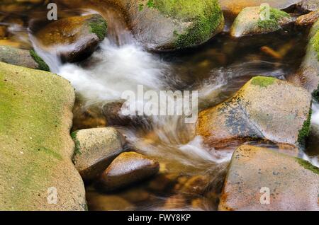 Detail des kleinen schönen Wasserfall zwischen bemoosten Steinen. Stockfoto