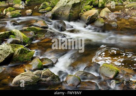 Detail des kleinen schönen Wasserfall zwischen bemoosten Steinen. Stockfoto