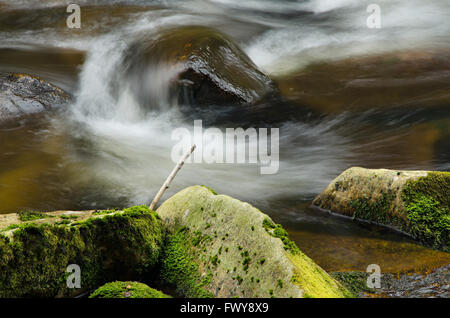 Detail des kleinen schönen Wasserfall zwischen bemoosten Steinen. Stockfoto