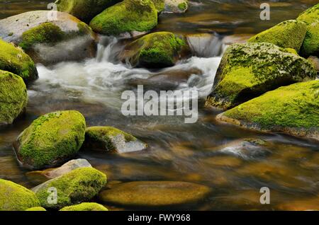 Detail des kleinen schönen Wasserfall zwischen bemoosten Steinen. Stockfoto