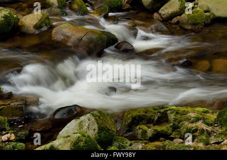 Detail des kleinen schönen Wasserfall zwischen bemoosten Steinen. Stockfoto