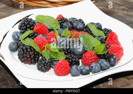 Heidelbeeren, Himbeeren, Brombeeren, garniert mit Minze auf einem Teller Stockfoto