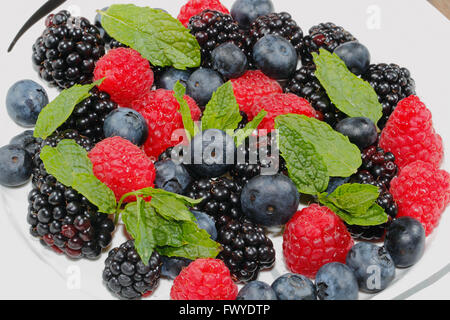 Heidelbeeren, Himbeeren, Brombeeren, garniert mit Minze auf einem Teller Stockfoto