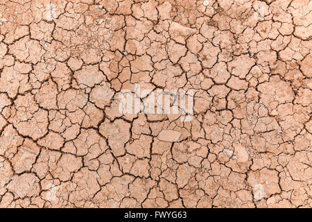 Getrocknete Erde, trockene Risse in der Oberfläche von gemahlener, getrockneter Lehm, Fuerteventura, Kanarische Inseln, Spanien Stockfoto
