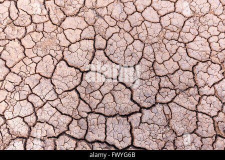 Getrocknete Erde, trockene Risse in der Oberfläche von gemahlener, getrockneter Lehm, Fuerteventura, Kanarische Inseln, Spanien Stockfoto