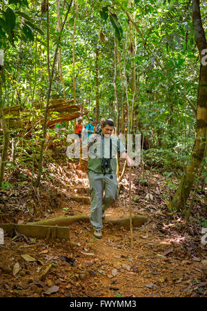 Die Halbinsel OSA, COSTA RICA - Naturalist Guide mit Öko-Touristen im Regenwald zu wandern. Stockfoto