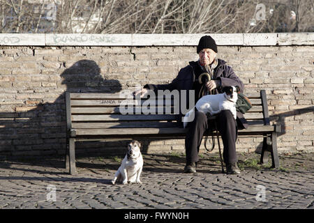 Alter Mann sitzt auf der Bank vor eine Milvio Brücke und kuscheln seine beiden Hunde in Rom, Italien Stockfoto