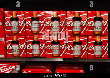 Budweiser Bier Fällen auf dem Display in einem neu eröffneten Selbstbedienung Bier laden in Kingston, Ontario, am 16. März 2016. Stockfoto