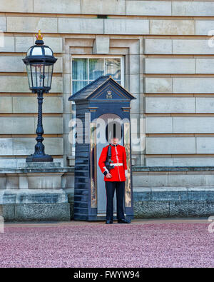 LONDON, ENGLAND - 30. April 2011: Königin Wache auf seinem Posten im Buckingham Palace in London in England. Leibgarde der Königin ist ein Kavallerie und Infanterie Soldat der königliche Residenzen im Vereinigten Königreich bewacht. Stockfoto