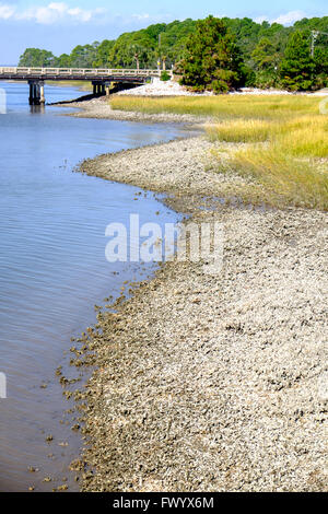 Fripp Einlass am Hunting Island State Park, South Carolina, USA Stockfoto