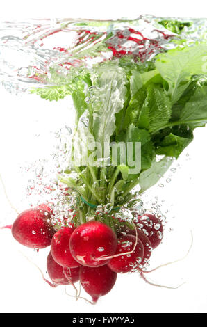 Reihe von Radieschen fallen ins Wasser, weißen Hintergrund isoliert. Stockfoto