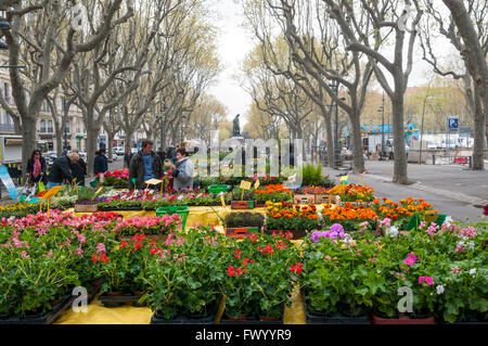 Beziers Blumenmarkt, Allee-Paul Riquet, Languedoc, Frankreich Stockfoto