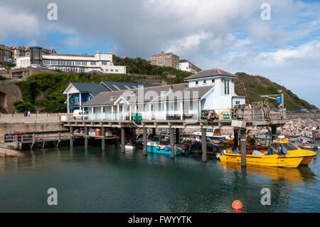 Ventnor Hafen Fischerei auf der Isle Of Wight Stockfoto