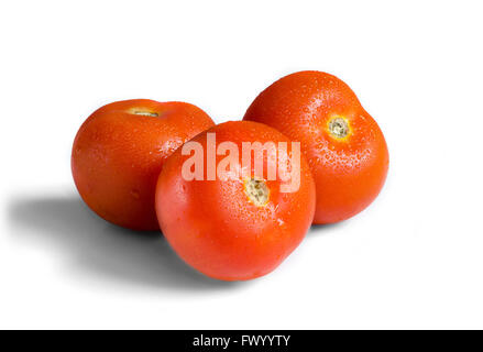 Taufrische Tomaten auf weißen Backgorund isoliert. Stockfoto