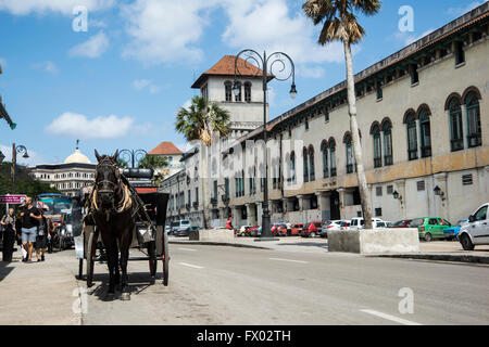 Pferd und Kutsche im Hafen von Havanna Stockfoto