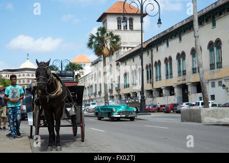 Pferd und Kutsche im Hafen von Havanna Stockfoto