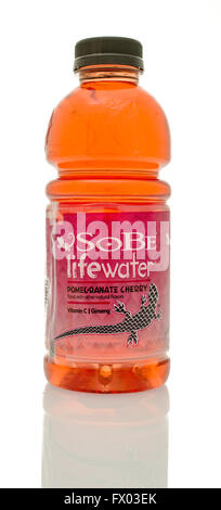 Winneconne, Wisconsin - 14. Januar 2016: Flasche Sobe Lifewater in Granatapfel-Kirsch-Geschmack. Stockfoto
