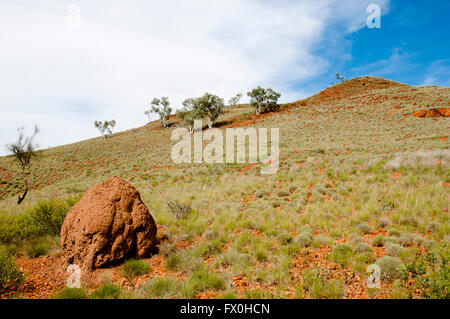 Termite Mound - Australien Stockfoto