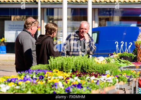 Simrishamn, Schweden - 1. April 2016: Mann ist etwas vom Markt Verkostung als er mit zwei Othermen spricht. Alltagssituation in Stockfoto