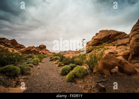 Felsformationen aus Sandstein in Nevada's Valley of Fire State Park im Südwesten der Vereinigten Staaten von Amerika. Stockfoto