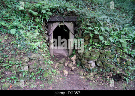 Eingang zum unterirdischen Tunnel-Netzwerk auf der französischen Seite der Butte de Vauquois, Meuse, Frankreich. Stockfoto